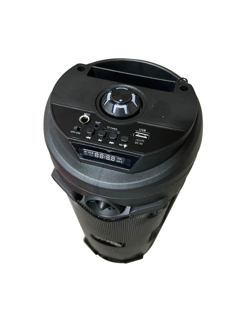 Bafle de piso BT1909 2