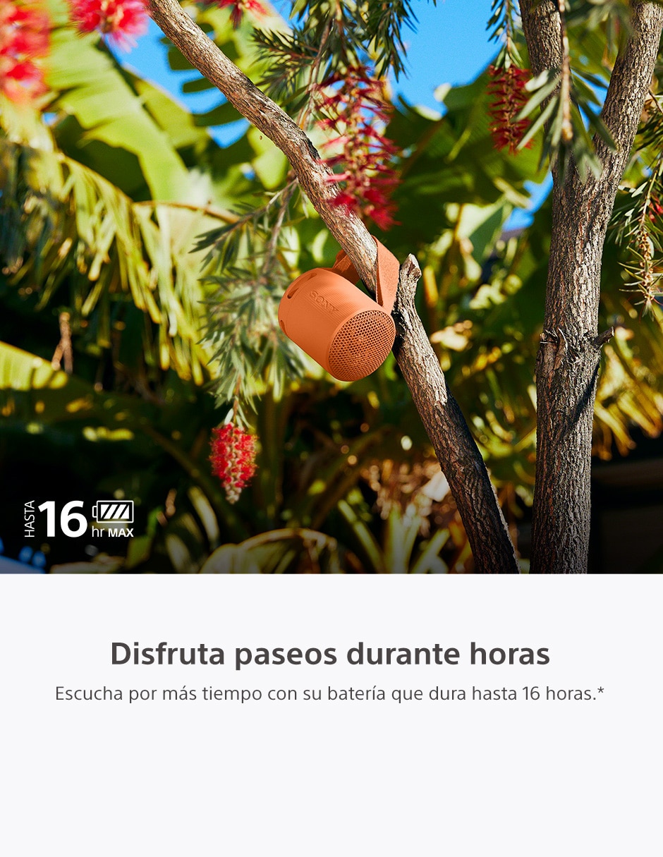 Naranja