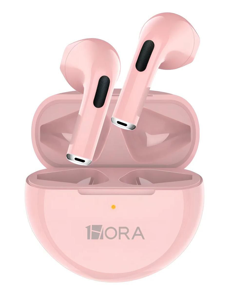 Rosa 2