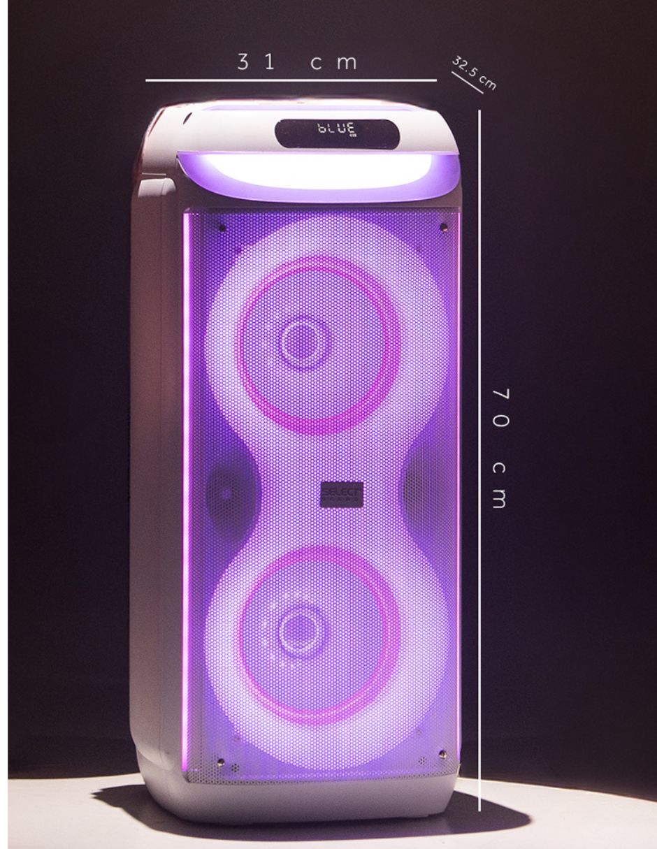 Bafle de piso bt2029 6