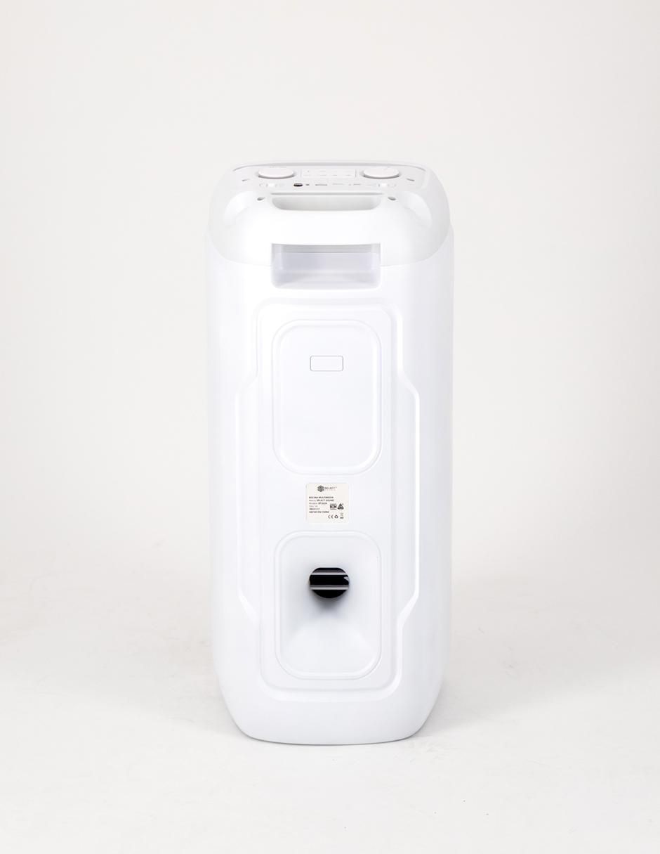 Bafle de piso Select Sound bt2029