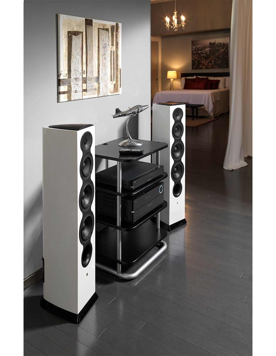 Bafle de piso Revel F206 7