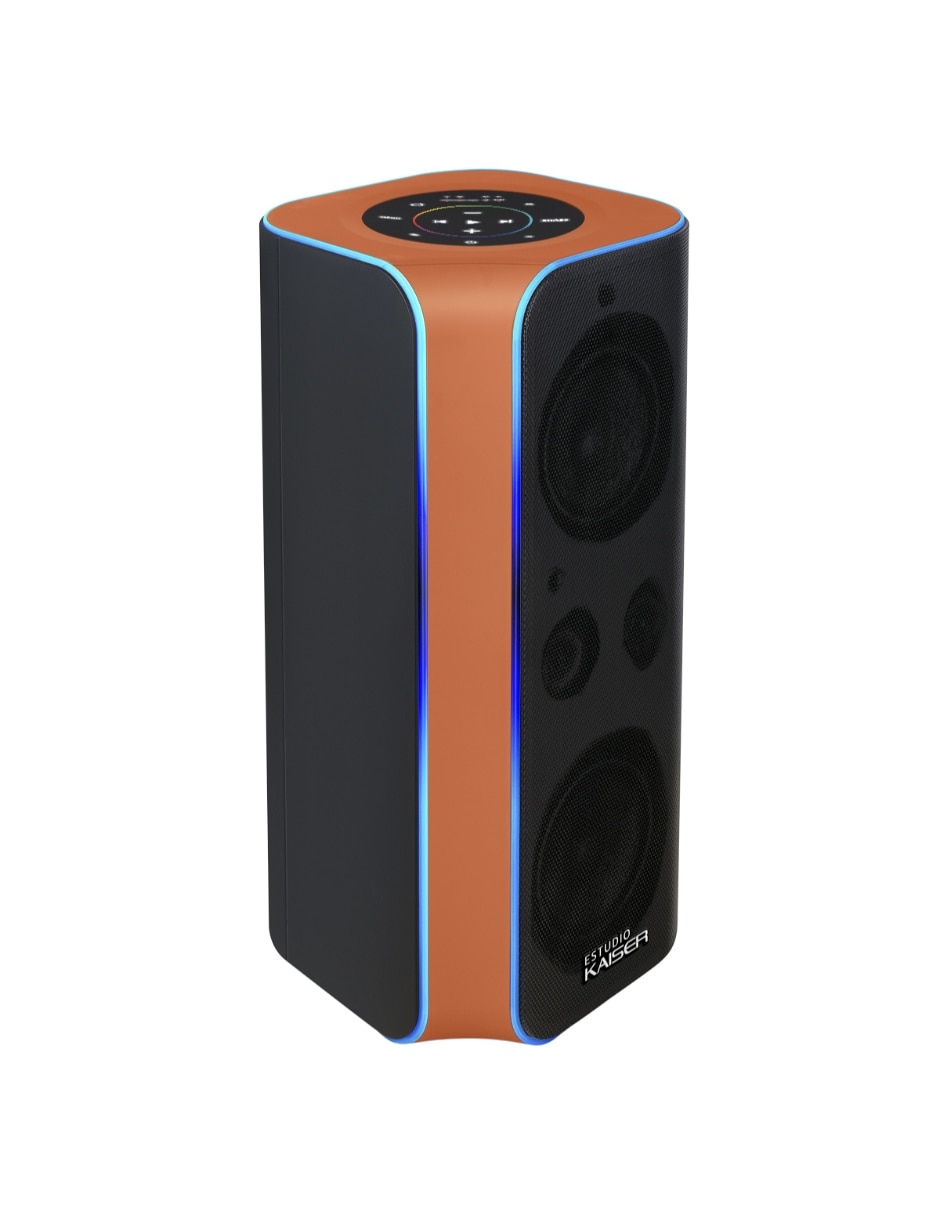 Bafle de piso KXB-4065 9