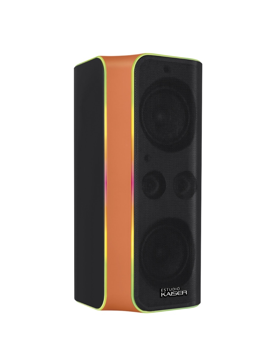 Bafle de piso KXB-4065 10