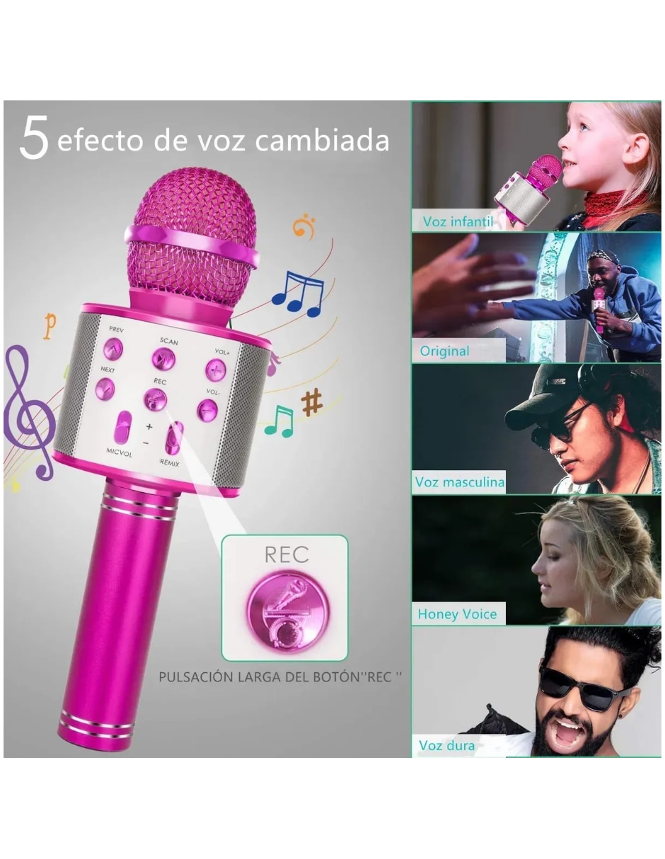 Micrófono Inalámbrico 5